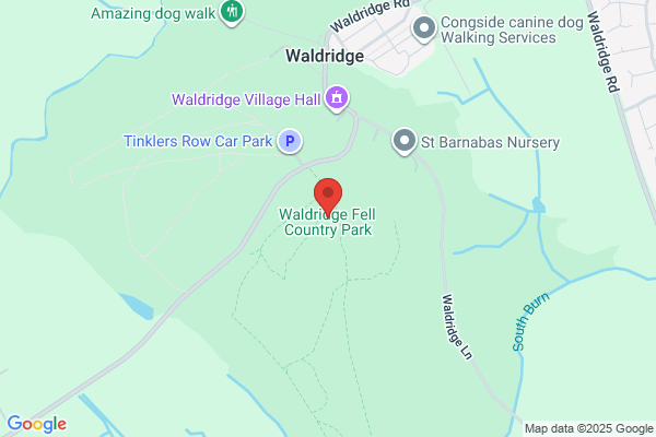 Waldridge Fell Club