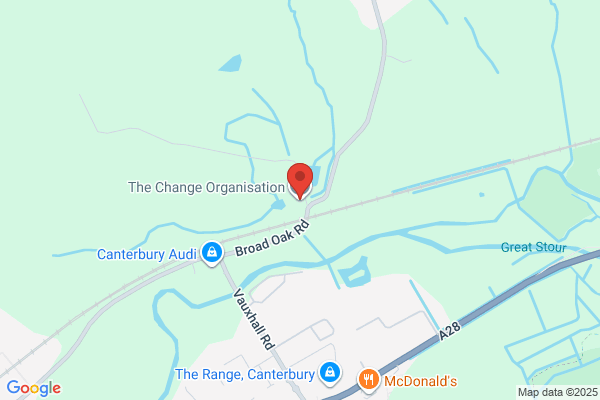 The Change Organisation