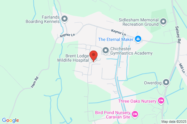 Brent Lodge Wildlife Hospital
