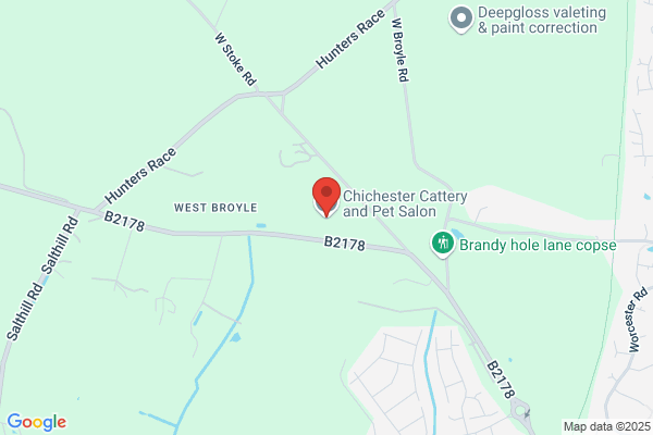 Chichester Cattery