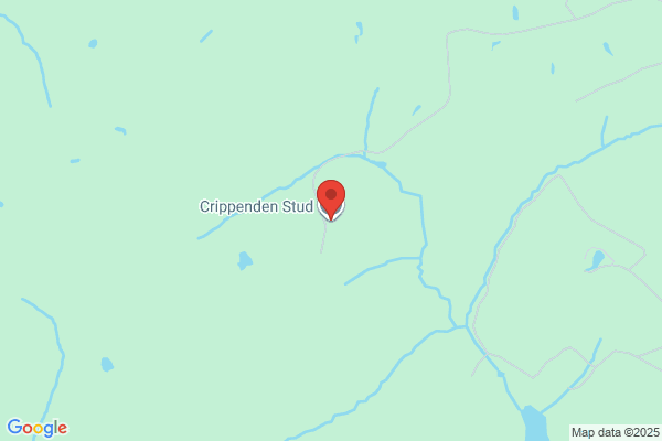 Crippenden Stud