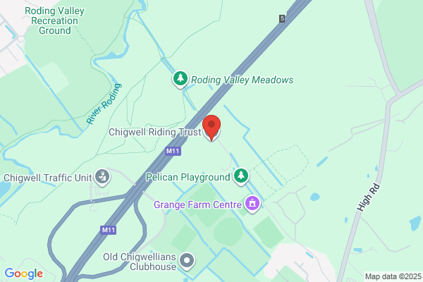 Chigwell Disabled Group