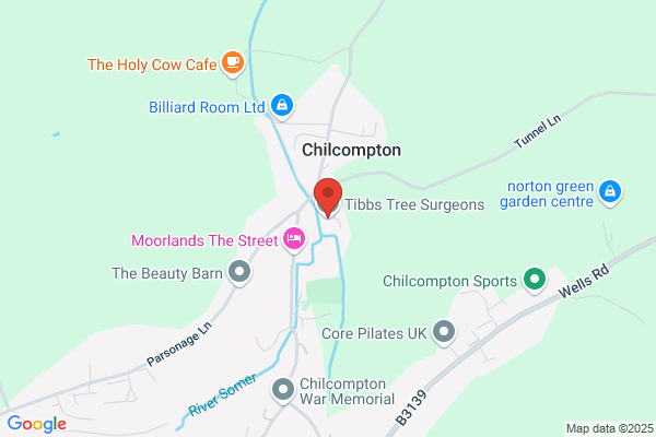 Tibbs Tree Surgeons
