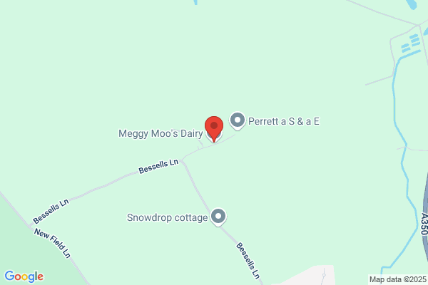 Meggy Moo's Dairy