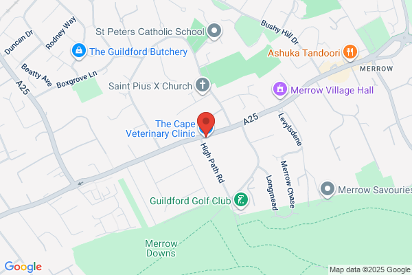The Cape Veterinary Clinic