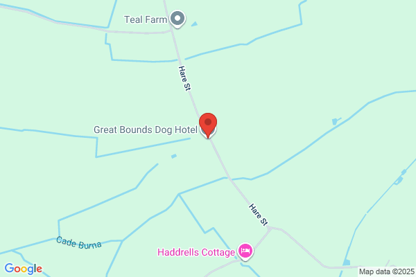 Great Bound Dog Hotel