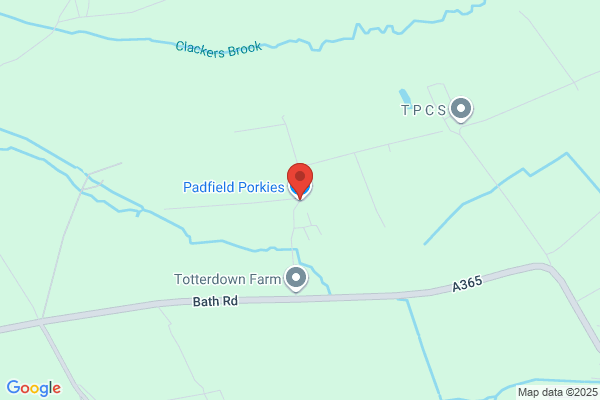 Potticks Pigs Ltd