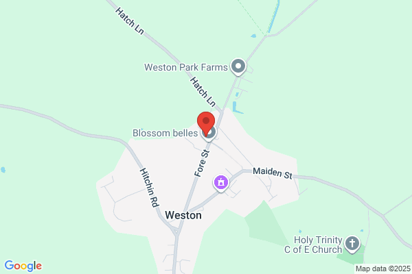 J A Wilson & Son Ltd
