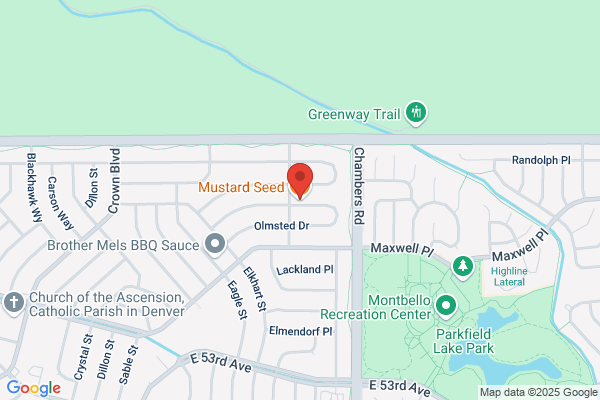 The Mustard Seed Ltd