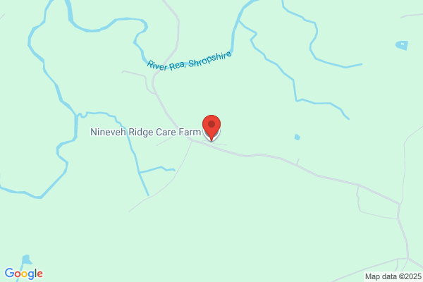 Nineveh Farm