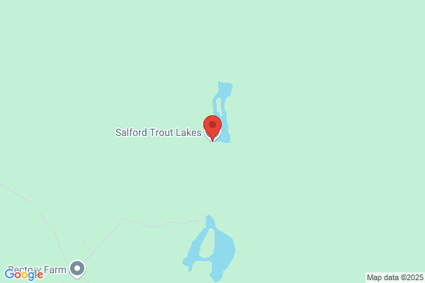 Salford Trout Lakes