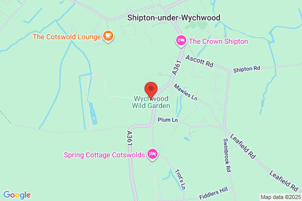 Wychwoods