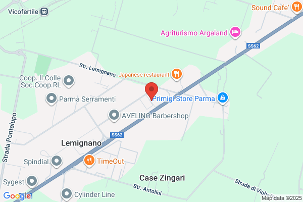 Zanelli