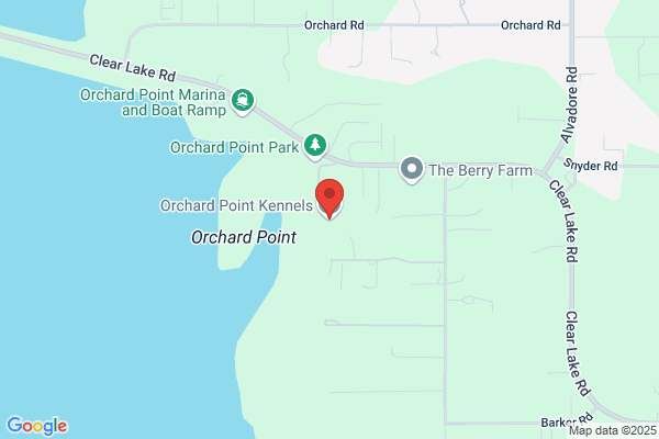 Orchard View Home Day Care & Hotel for Dogs
