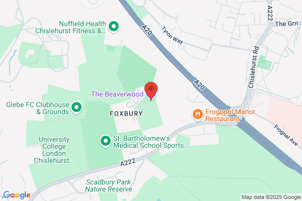 The Cabin