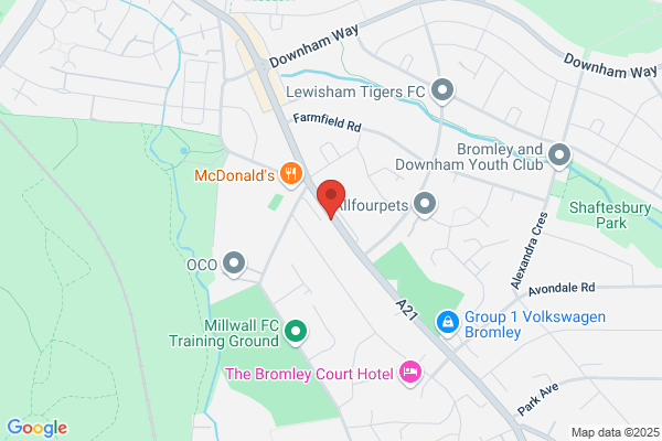 The Fortune
