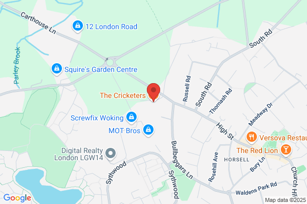 The Cricketers