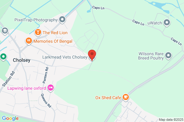 Larkmead Veterinary Group