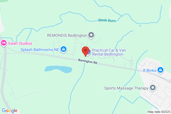 Bedlington Bears