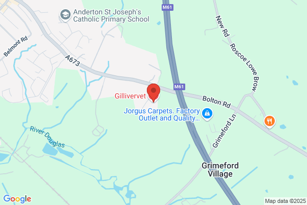 Gillivervet