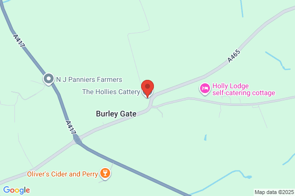 Hollies Kennels And Cattery