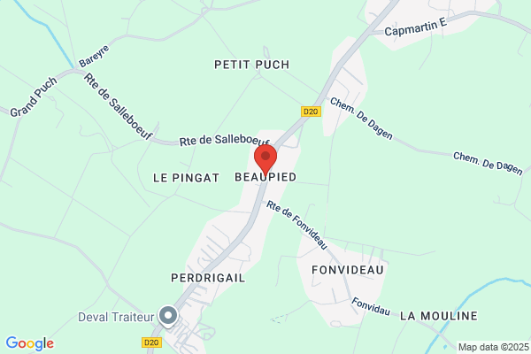 Pied Beau