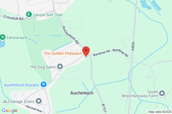 The Golden Pheasant