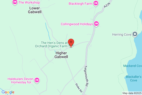 The Organic Flower Farm