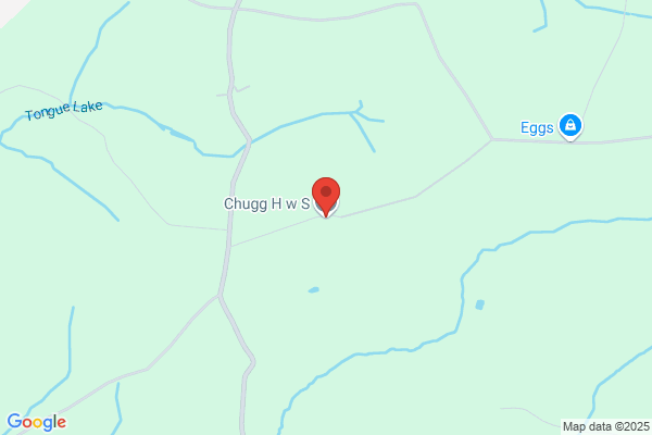 H W S Chugg
