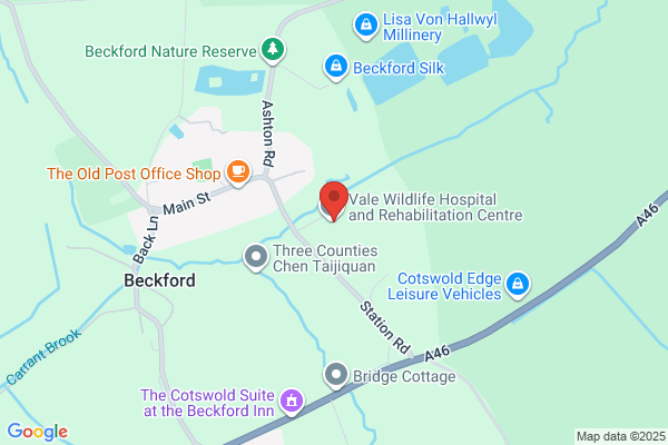 Cotswold Swan & Wild Bird Rescue