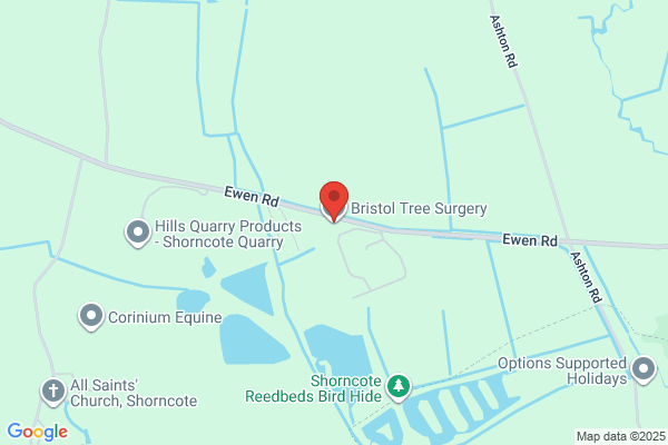 Churn Valley Tree Surgeons