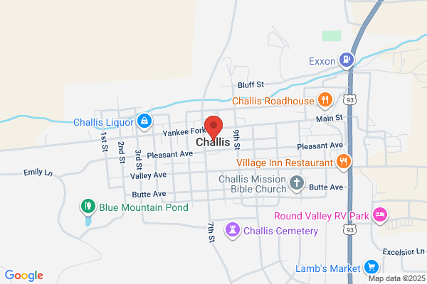 Challis & Sons