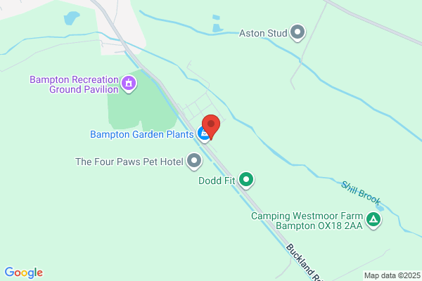 Bampton Storage