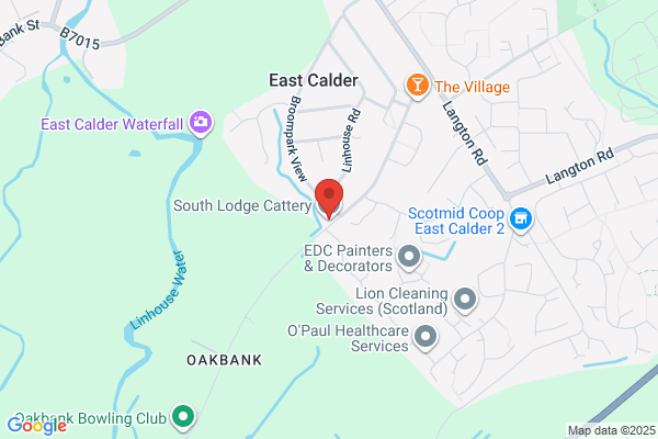 South Lodge Boarding Cattery & Small Pets Hotel