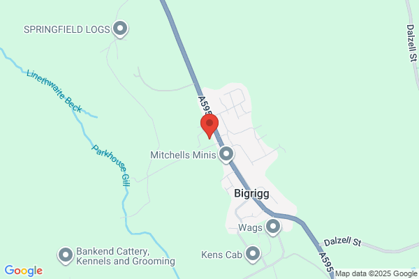 SPAR Bigrigg