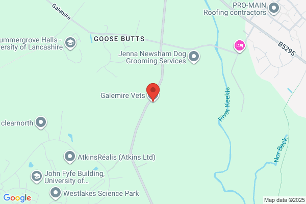 Galemire Veterinary Hospital