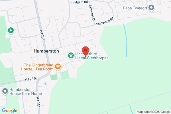 Humberston C Of E Primary School