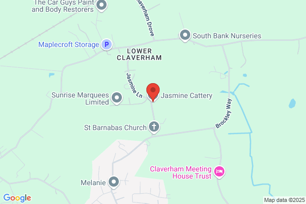 Tickenham Cattery