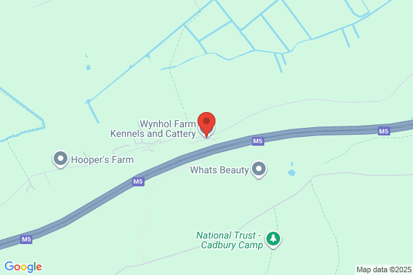 Wynhol Farm