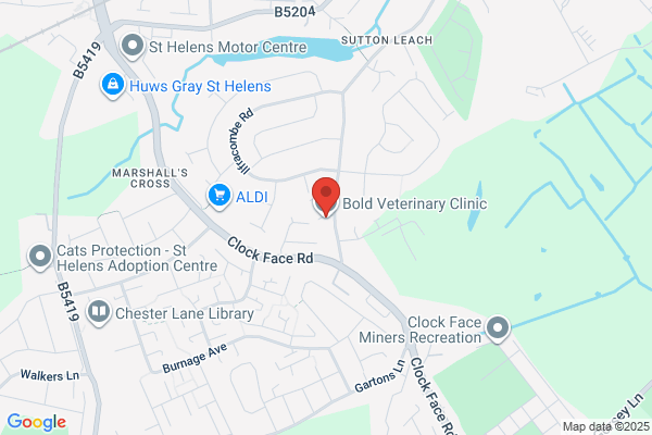 Bold Veterinary Clinic