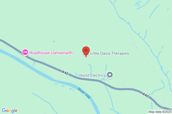 Little Oasis Therapies