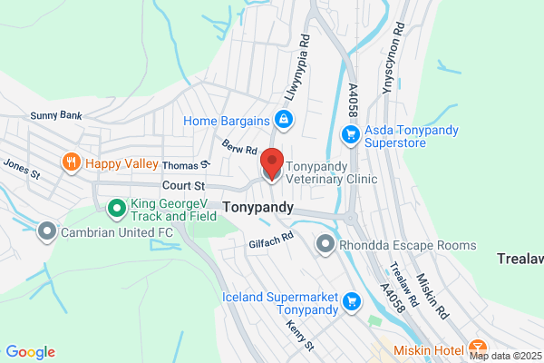 Tonypandy Youth Centre