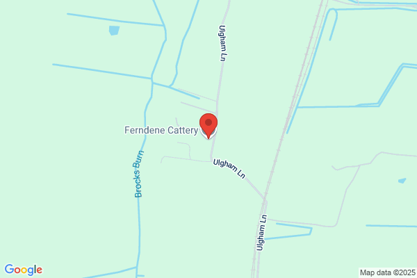 Loansdean Kennels & Cattery