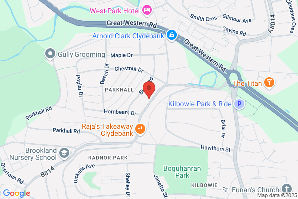 Anniesland Builders