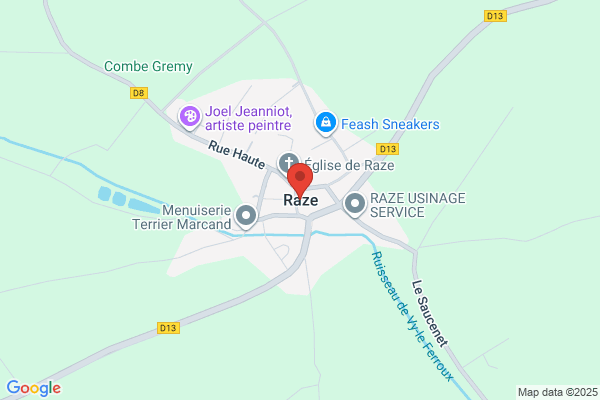 Raze