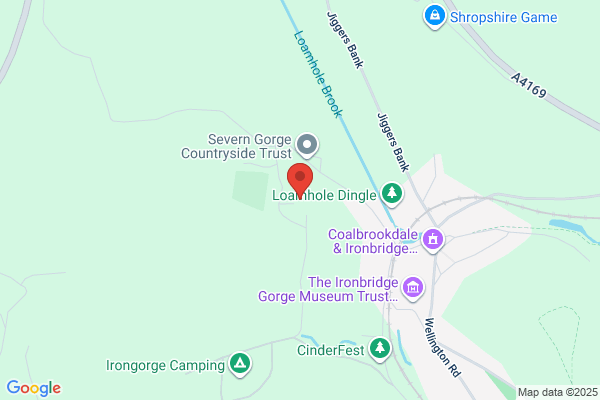 Sunnyside Gardens & Tree Care