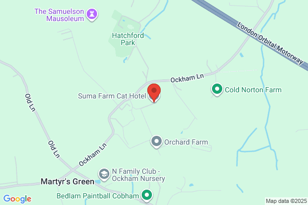 Suma Farm Cat Hotel