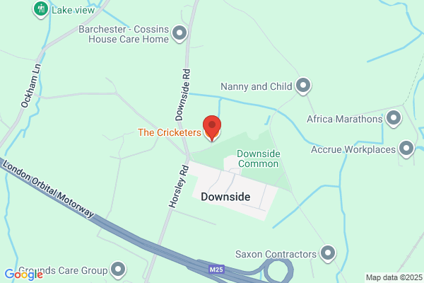 The Cricketers