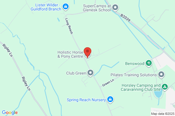 The Holistic Horse and Pony Centre