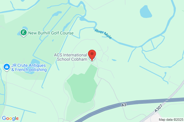 The American Community School